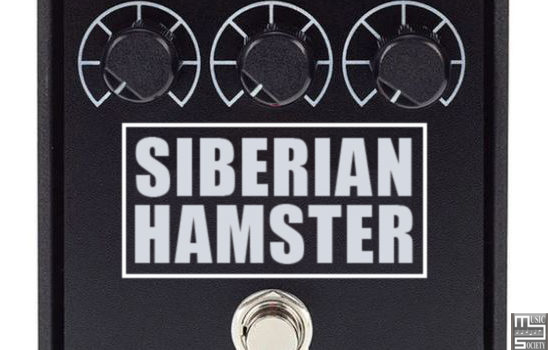 Siberian Hamster 1